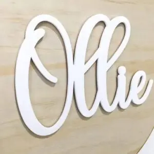 WhatsApp Image 2024-11-05 at 06.04.29_cdebd3d2